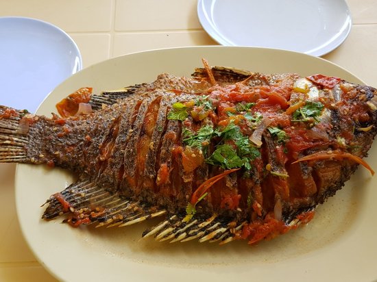 Avoid eating fish that is deep-fried in seed oils.

Here is why,

Fish's most significant nutrient is Omega-3 fatty acids, commonly found in fish oil.

This fish oil is also known as Omega-3, which consists of EPA and DHA.

EPA and DHA are fatty acids vital for the health of your