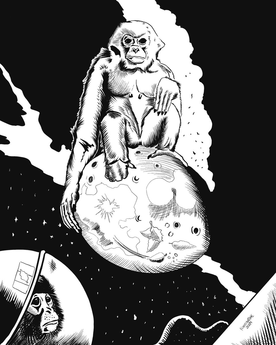 happy gibbon day my friends here are some gibbons ive made over the years