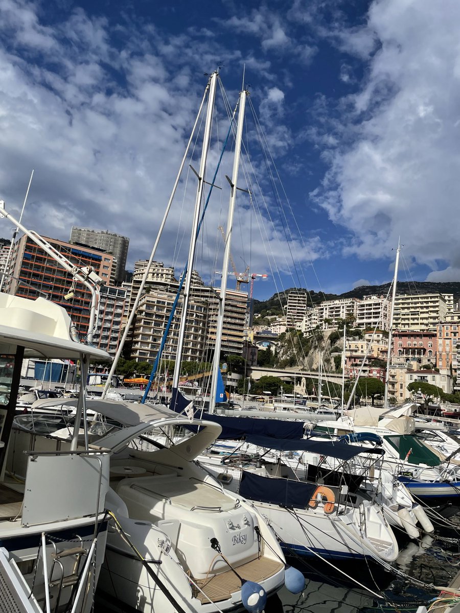 LewisMurray10 tweet media