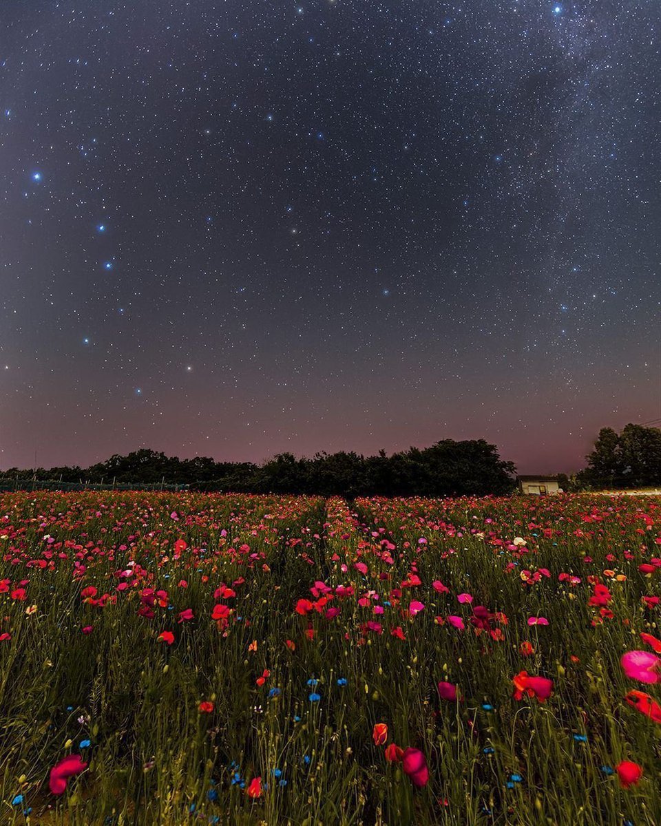 astropics's tweet photo. Starry night https://t.co/fHmFrO7ECm