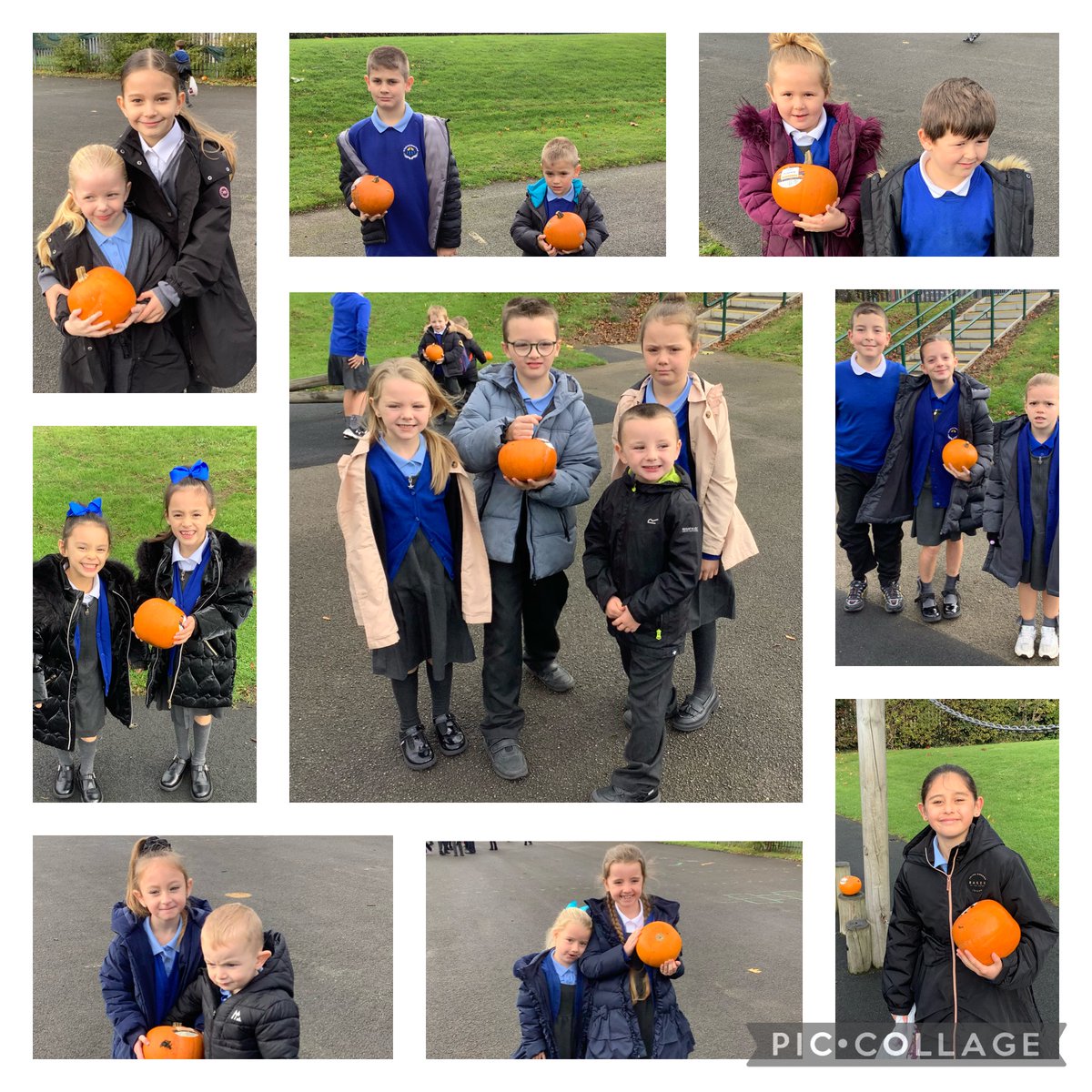 StPaulsRCWirral's tweet image. Today the children went pumpkin picking in our very own playground pumpkin patch. #workingasone