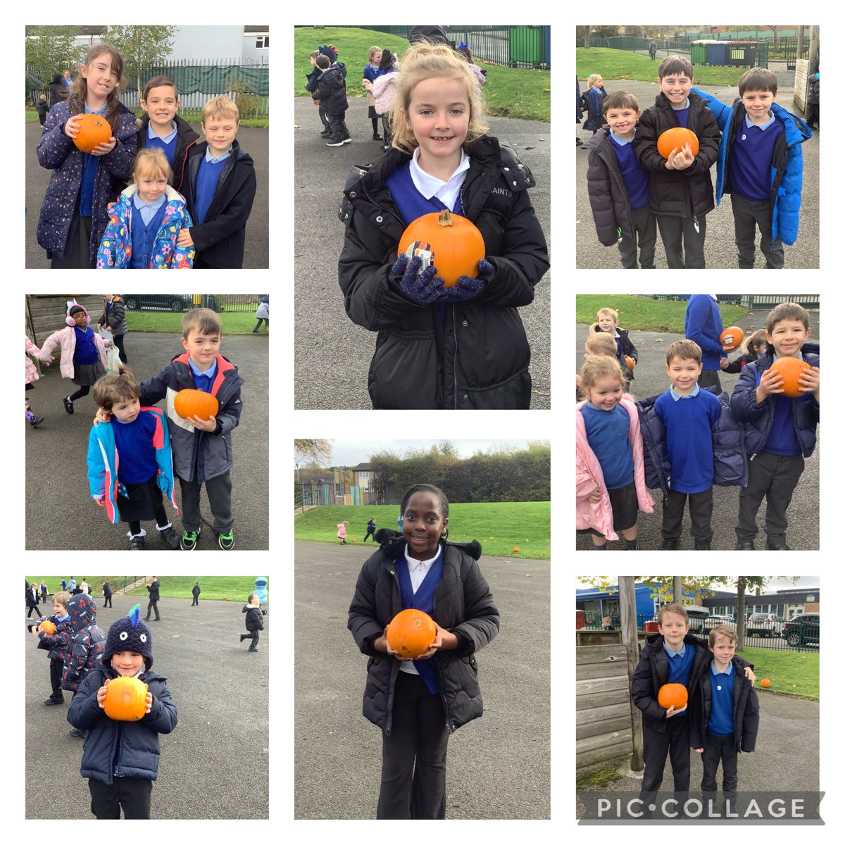 StPaulsRCWirral's tweet image. Today the children went pumpkin picking in our very own playground pumpkin patch. #workingasone