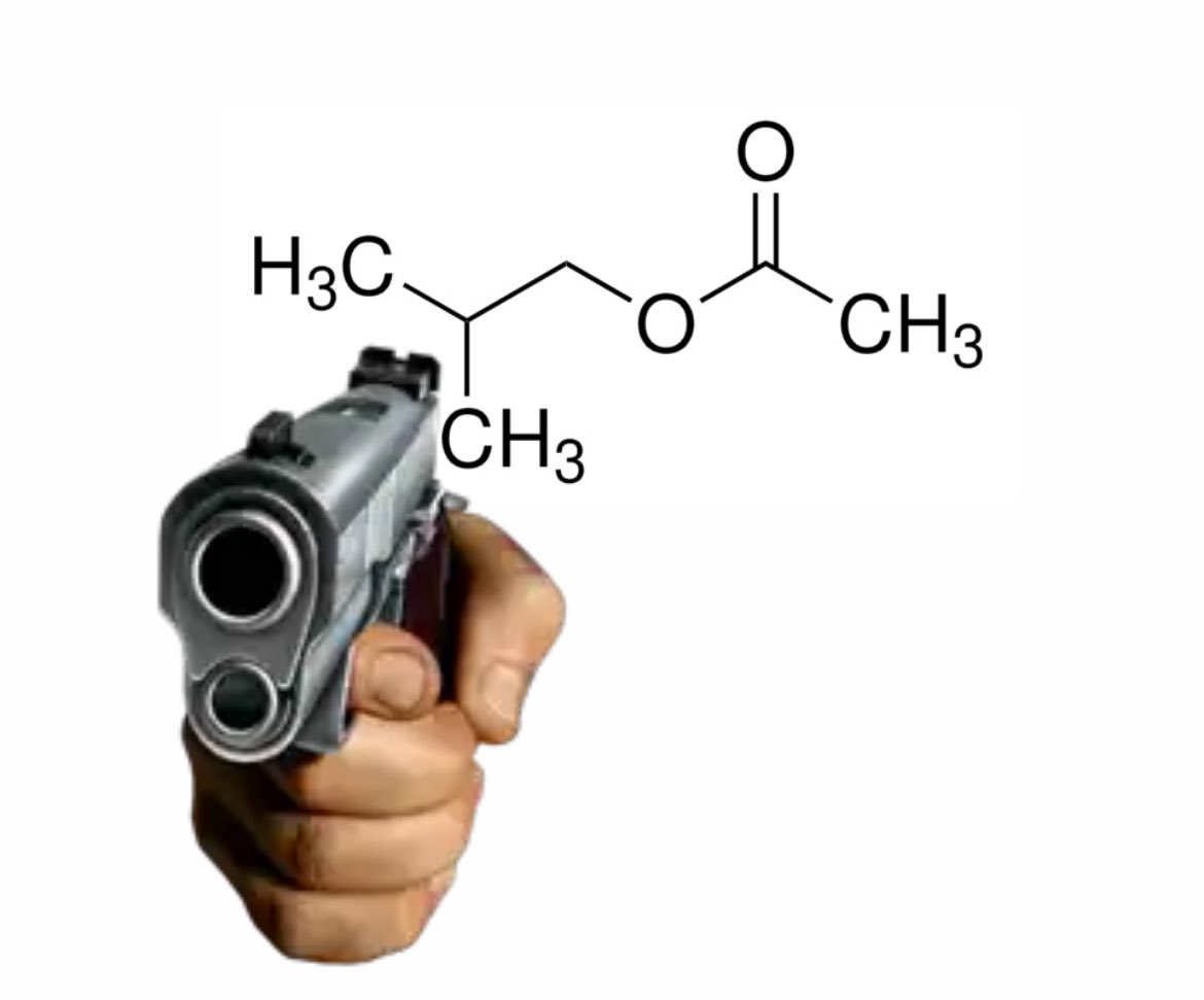 Accidentally said “violent compounds” instead of volatile compounds