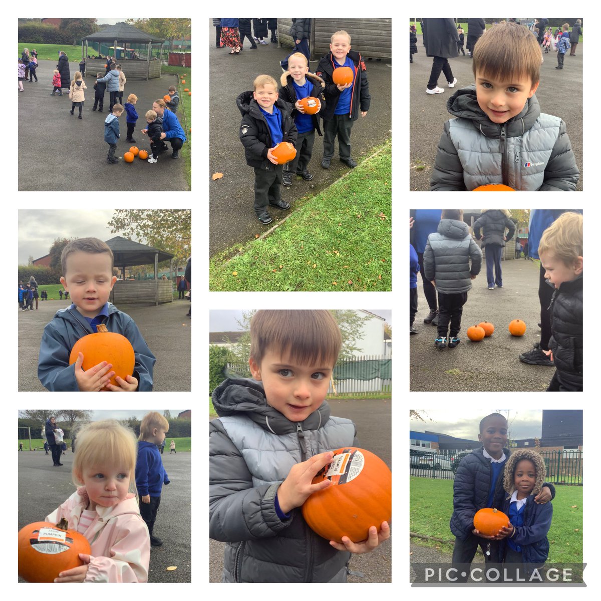 StPaulsRCWirral's tweet image. Today the children went pumpkin picking in our very own playground pumpkin patch. #workingasone