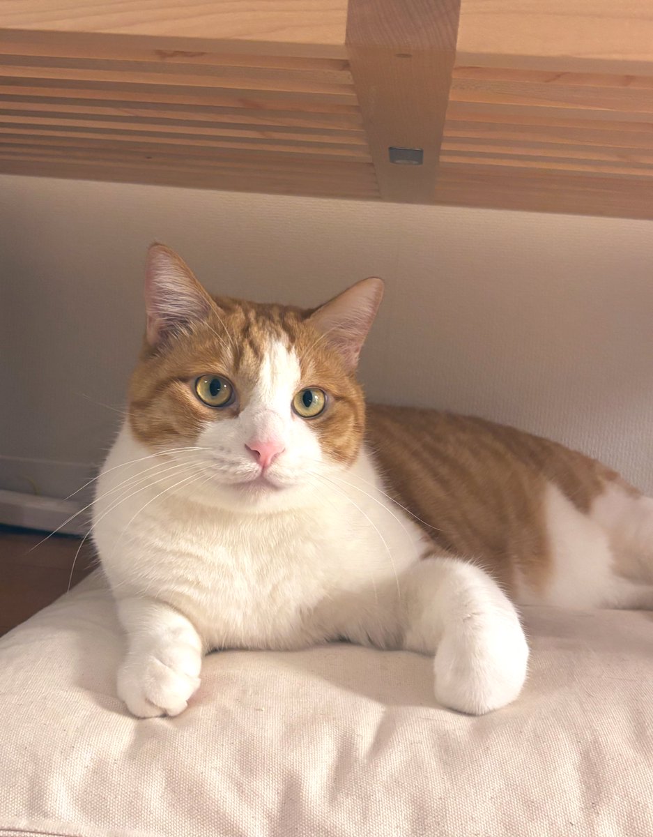 ゆいまーる 𝑶𝒏𝒍𝒚ゆいまーる (@maaru517) / Posts / X