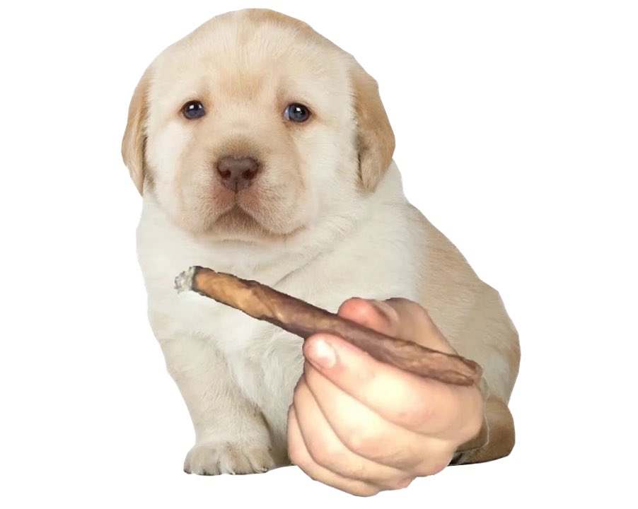 DelRoweSmokes's tweet image. “Say less Queen”