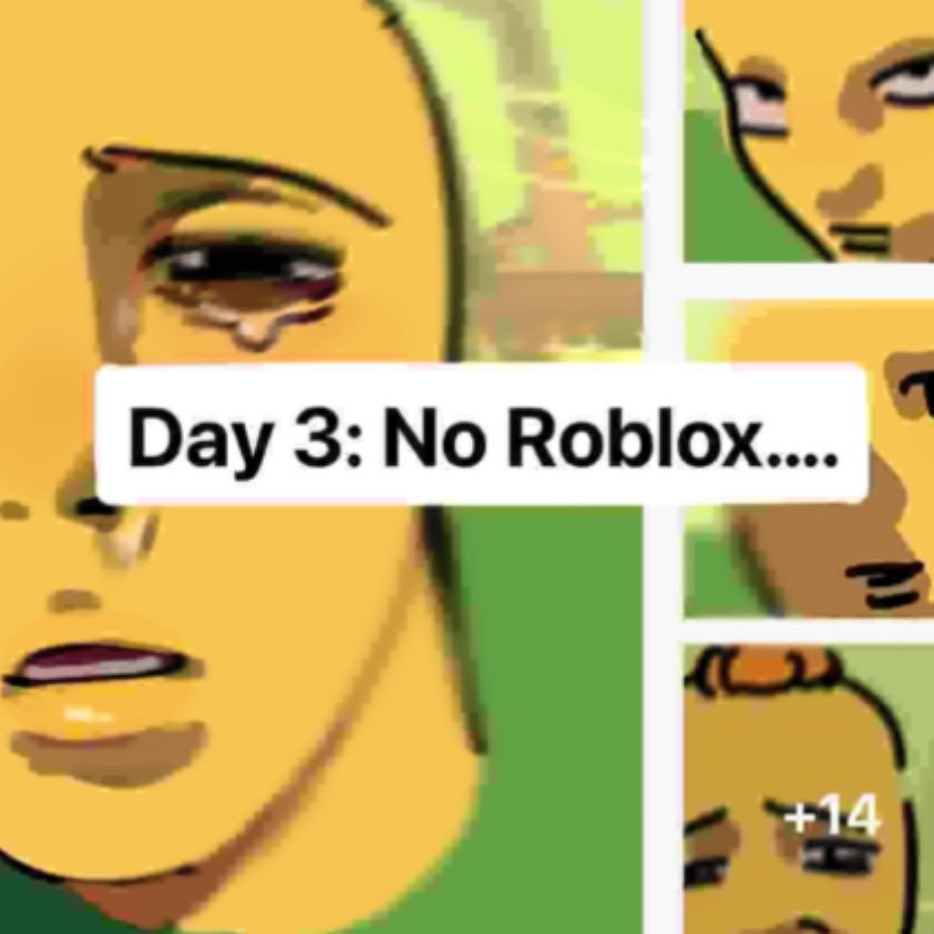 cheesecat_12345's tweet image. #robloxoc