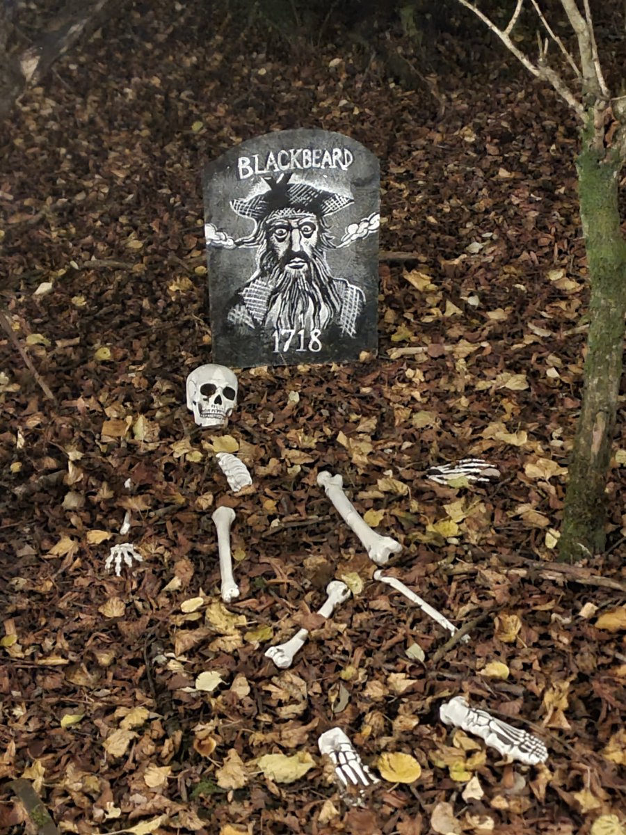 The witches are sweeping, the ghosts are floating, and the goblins are up to mischief! Our cauldrons are bubbling and the forest’s looking frightfully good for Halloween fun! Join us Sat 25 &amp; Sun 26 Oct from 4pm for eerie enchantment &amp; ghostly surprises! fareharbor.com/embeds/book/ba…