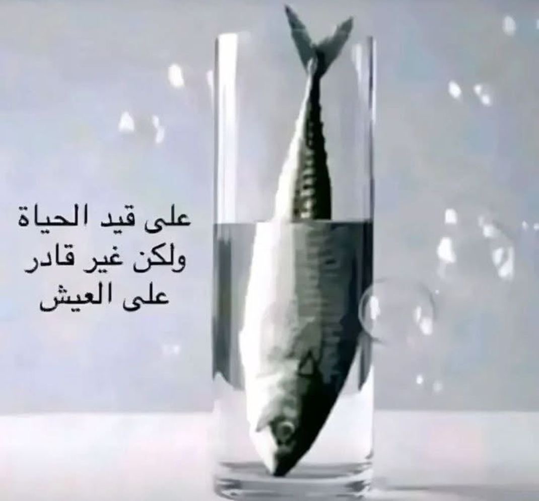 فـ tweet media