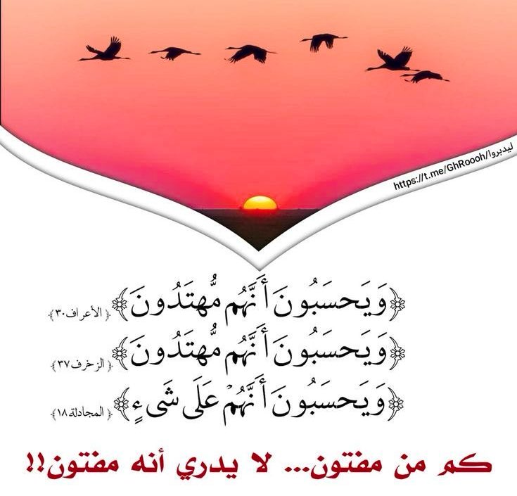 {اعْلَمُوا أَنَّ اللَّهَ شَدِيدُ الْعِقَابِ وَأَنَّ اللَّهَ غَفُورٌ رَحِيمٌ}
ليكن هذان العلمان موجودين في قلوبكم على وجه الجزم واليقين،تعلمون أنه شديدالعقاب العاجل والآجل على من عصاه،وأنه غفوررحيم لمن تاب إليه وأطاعه.فيثمر لكم هذا العلم الخوف من عقابه،والرجاءلمغفرته وثوابه
السعدي