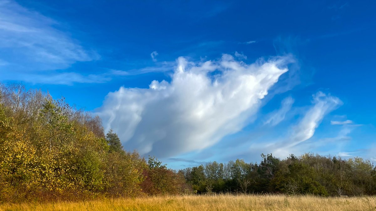 Dave Throup tweet media