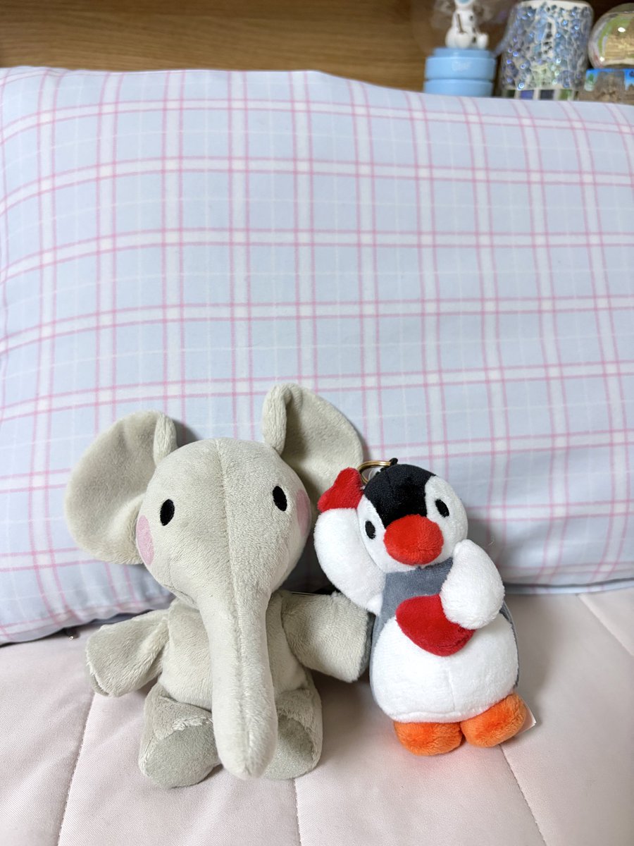 오늘 인형뽑기로 핑가 데려왔는데
안소니랑 같이 두니. . 마치 긴긴밤. .🤍🥹