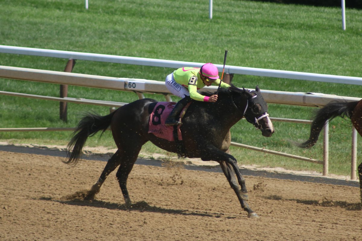 America’s Pastime Stables (@apstables) on Twitter photo It's Race Day!!
Mr. Papagiorgio is the 2 horse in the 3rd Race at Aqueduct. Ricardo Santana, Jr. will be aboard and post time is at 2:16 It's Race Day!!
Mr. Papagiorgio is the 2 horse in the 3rd Race at Aqueduct. Ricardo Santana, Jr. will be aboard and post time is at 2:16