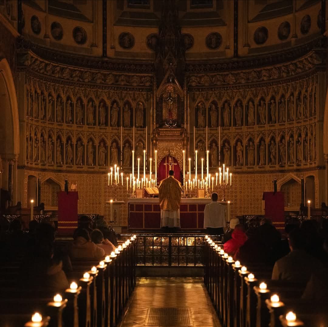 Totvs_tuus51320's tweet photo. I believe in the Holy Spirit,
the holy Catholic Church,
the communion of saints,
the forgiveness of sins,
the resurrection of the body,
and life everlasting. Amen. https://t.co/7mf8feYap8