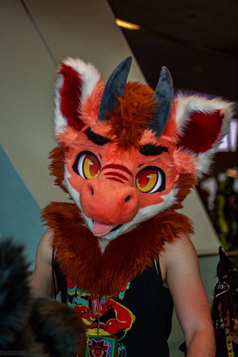 He’s really out here pulling the 😛

Happy #FursuitFriday 
📸 <a href="/WOLFKY_GNAR/">🥞GNAR THE PANCAKE YOTE🥞</a>