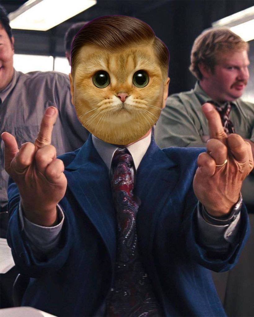 Jookiaus tweet media