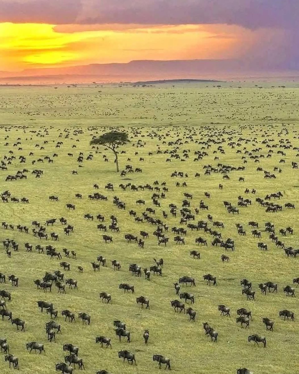 In sha Allah I will farm on a land as big as this one day.