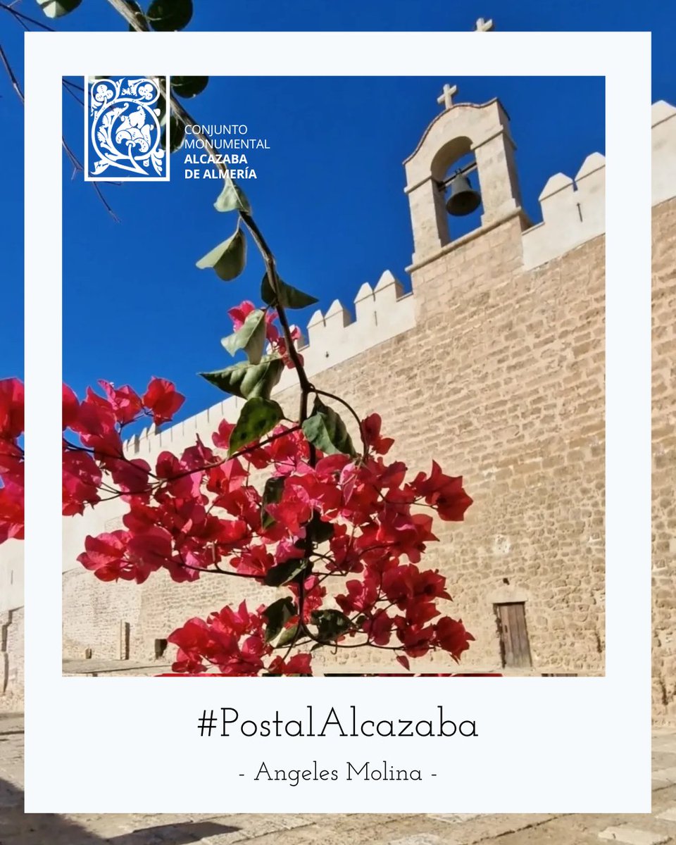 #PostalAlcazaba | Con esta colorida fotografía del #MurodelaVela os deseamos un feliz fin de semana 💫

Gracias a Ángeles Molina (IG: <a href="/angeles0064/">Angie</a>) por captar de forma tan bonita uno de los elementos más icónicos de nuestra fortaleza. 

<a href="/CulturaAND/">Cultura Junta de Andalucía</a> <a href="/TurismoAND/">Consejería de Turismo y Andalucía Exterior</a> <a href="/AlmeriaJunta/">AlmeríaJunta</a>