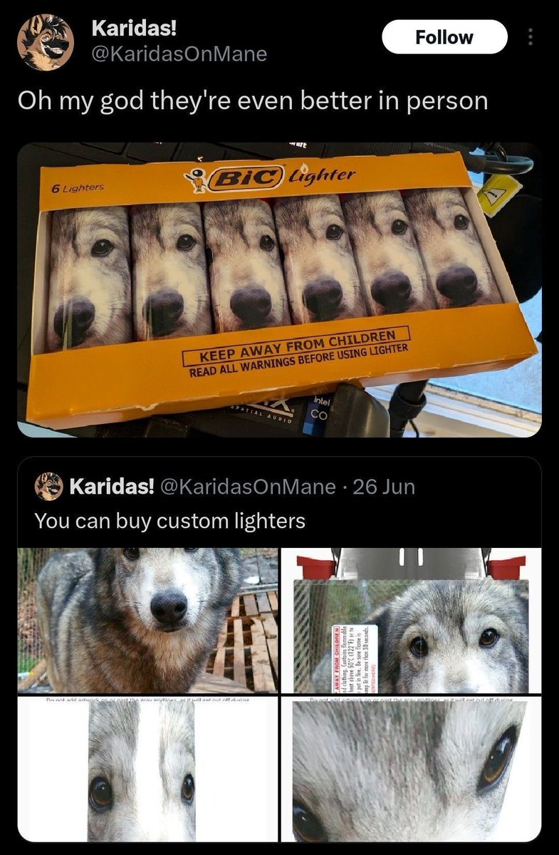 Internet Slop (@gimmickslop) on Twitter photo 