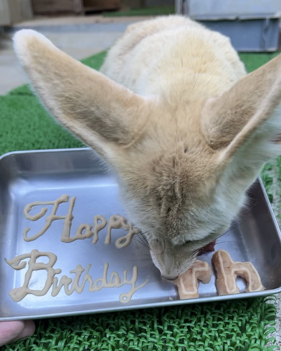 Alanna Gill (@ares18325) on Twitter photo 