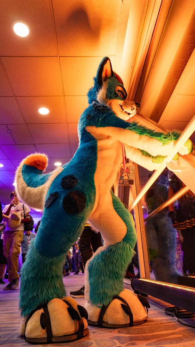 ORANGE
nothing further

#fursuitfriday
📸: <a href="/VarahFox/">Varah Fox 🔜 🤔</a> 
🧵:<a href="/serestudios/">SereStudios</a>