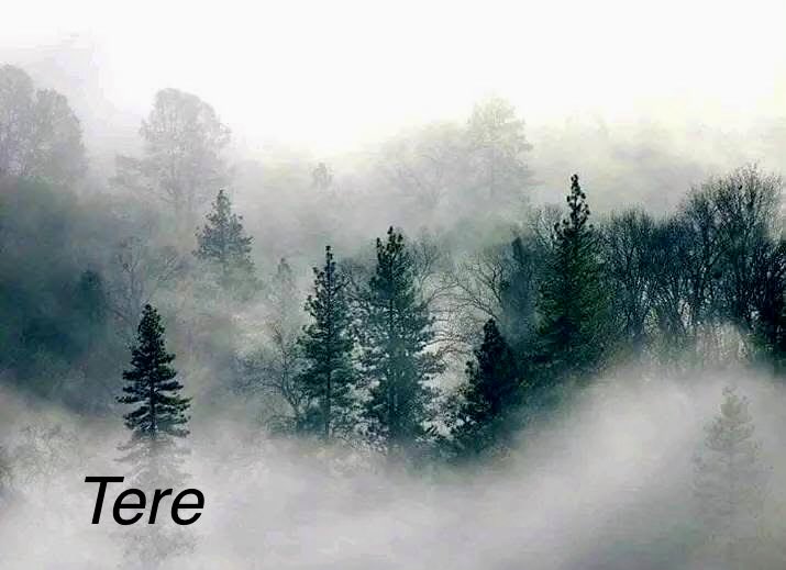 “La verdadera felicidad consiste en la ausencia de dolor y en la serenidad del espíritu.”🌷

—Epicuro