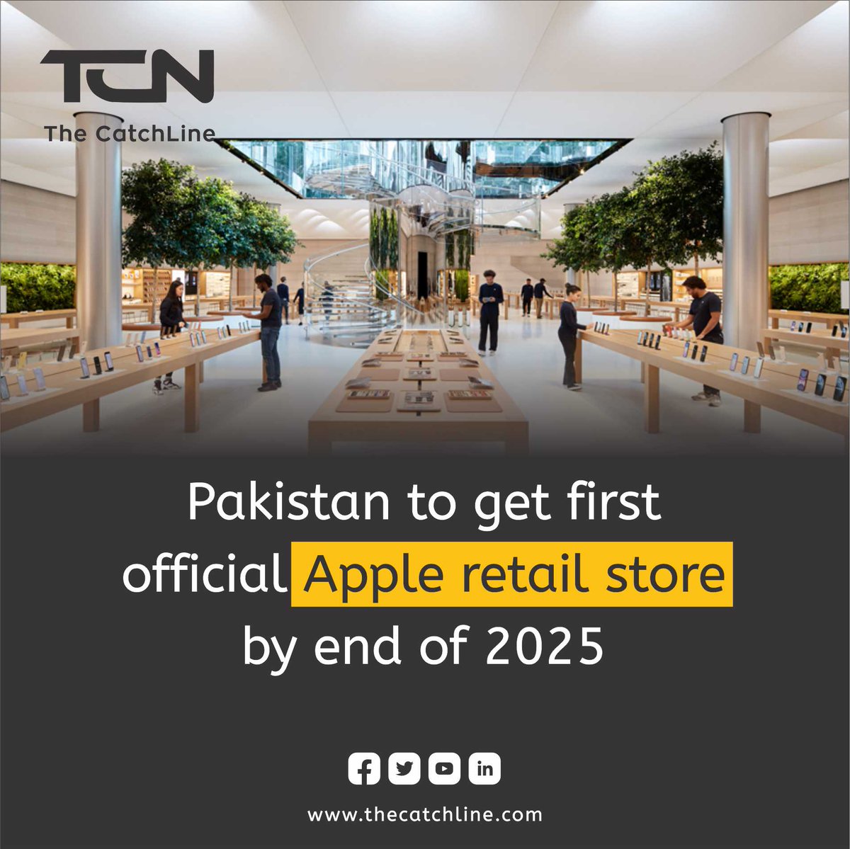 The CatchLine - TCN tweet media