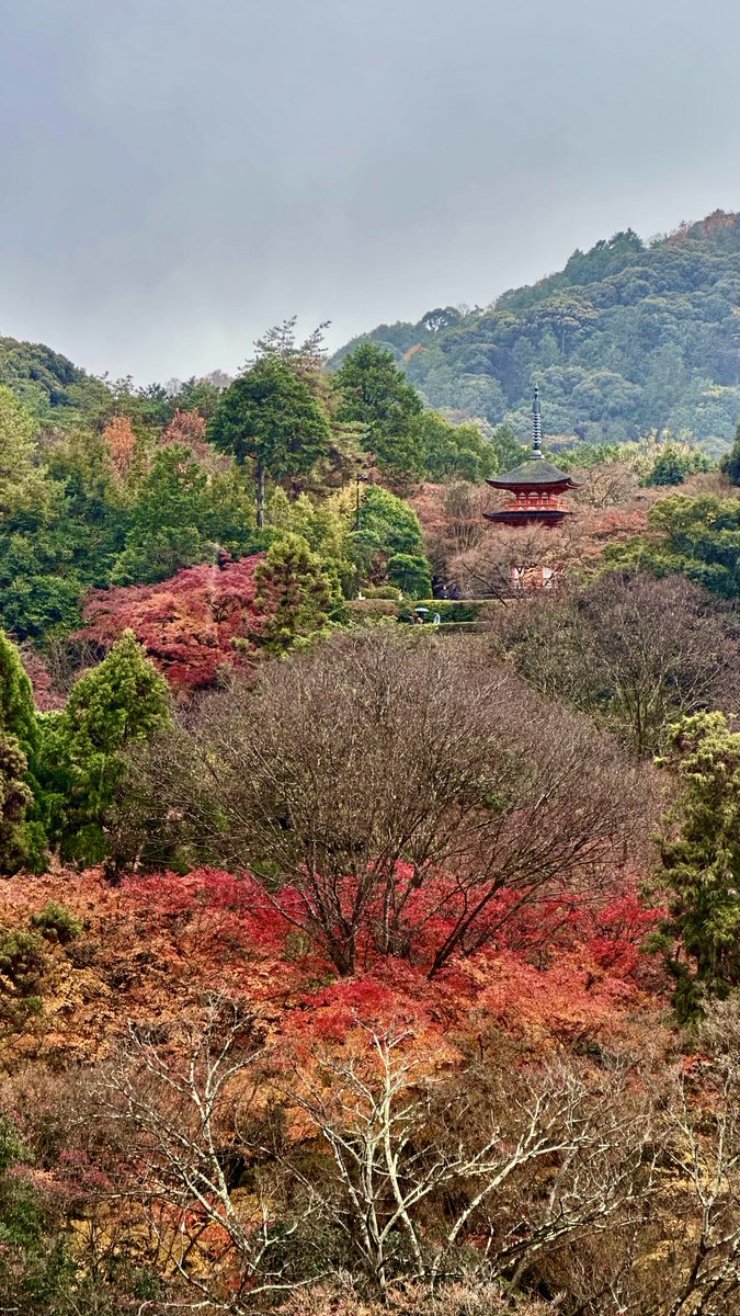 3svn_'s tweet photo. 🍁🍁 https://t.co/OQ5qrcoIOs