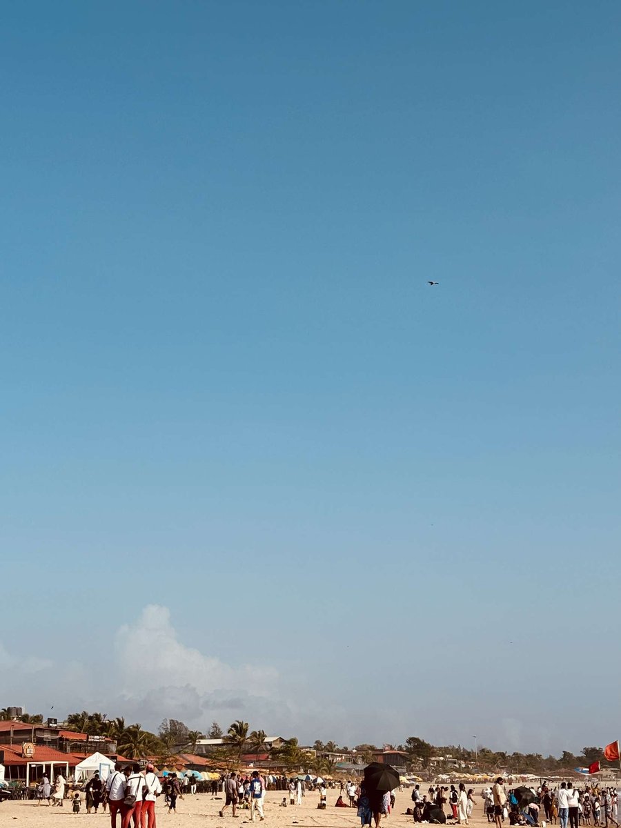 Srividyawrites's tweet image. I&apos;m telling you, for aesthetic, beautiful, natural pictures of nature — go for substack 🧡

the &apos;life&apos; I captured recently