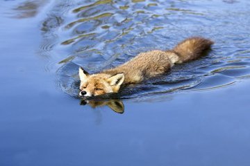 Alanna Gill (@ares18325) on Twitter photo 