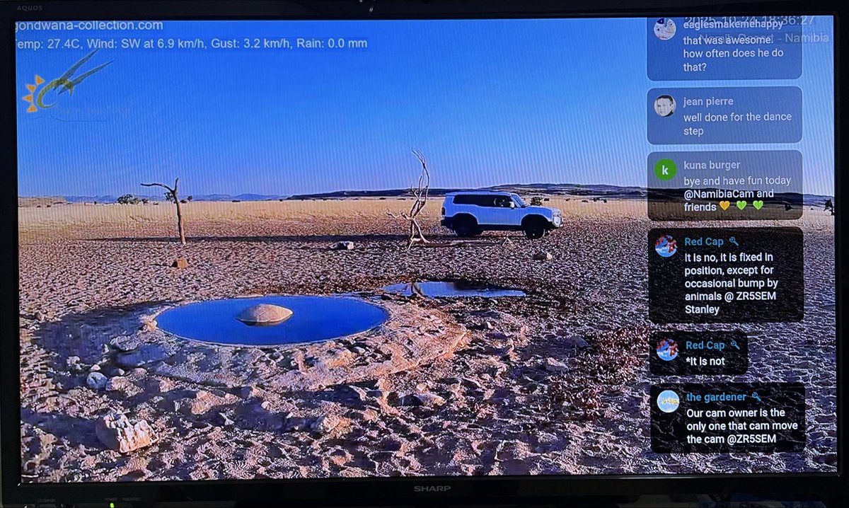 えすすδ tweet media