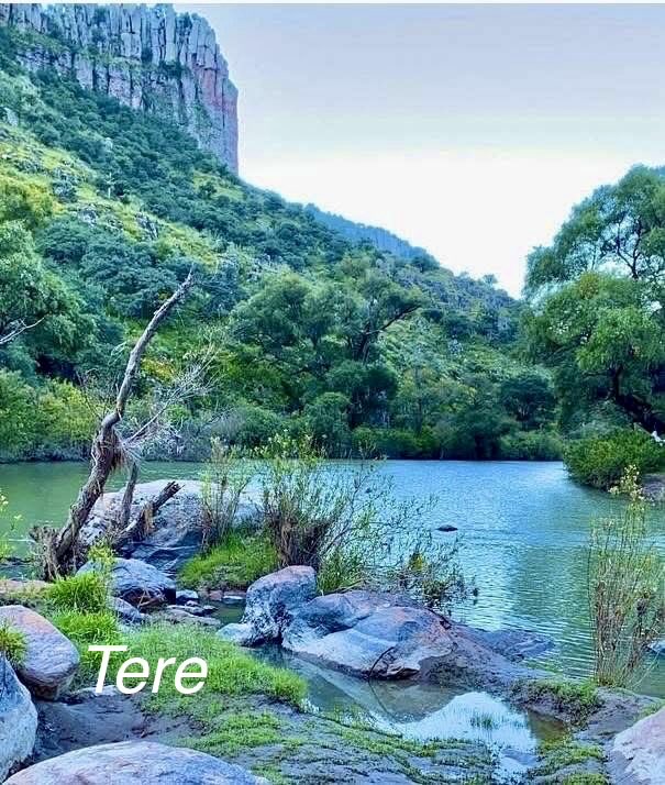 "Alguna vez, andando por la vida, por piedad, por amor, como se da una fuente, sin reservas, yo di 
mi corazón".🌷

—Alfonsina Storni