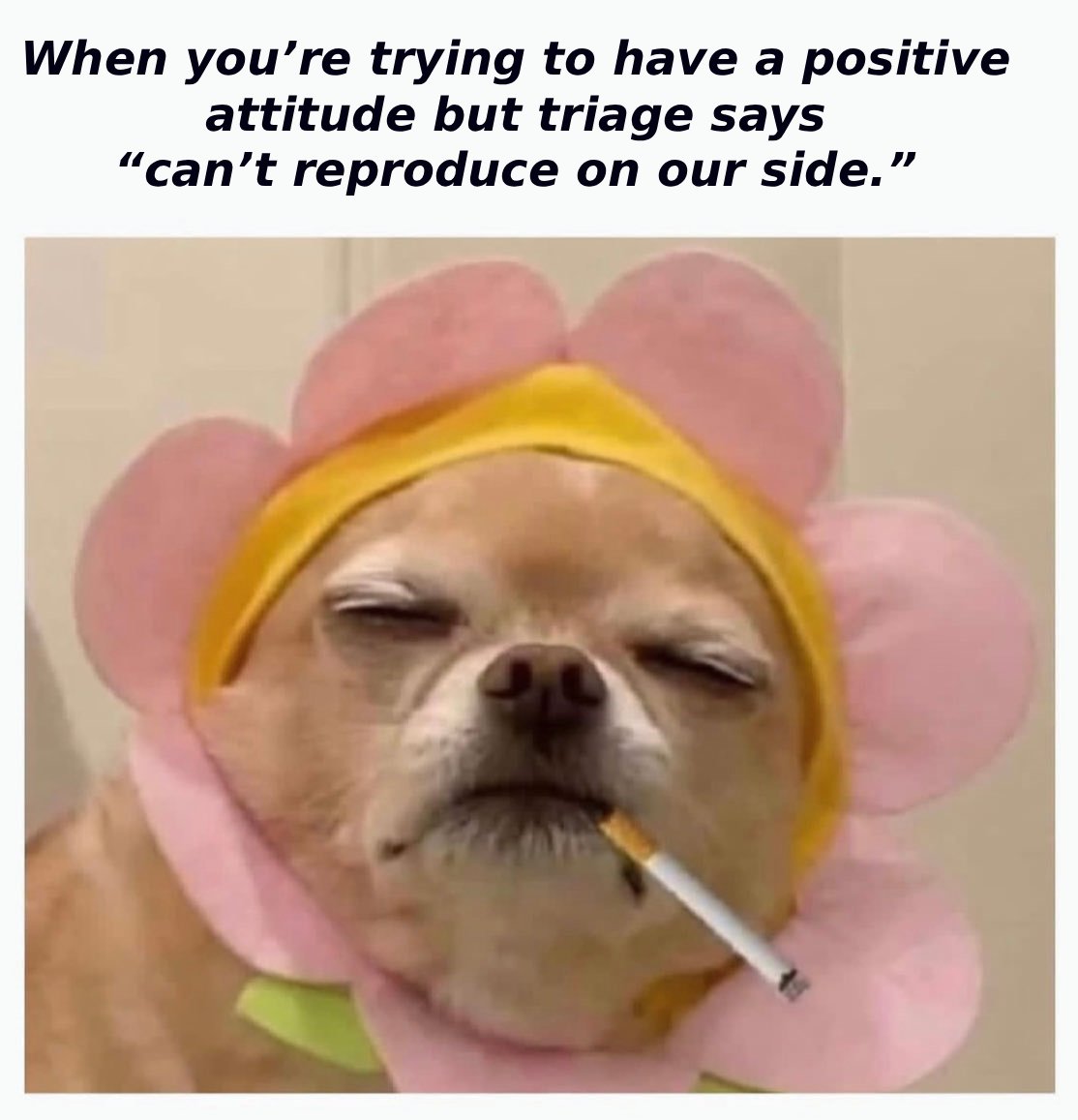 HackenProof's tweet image. 