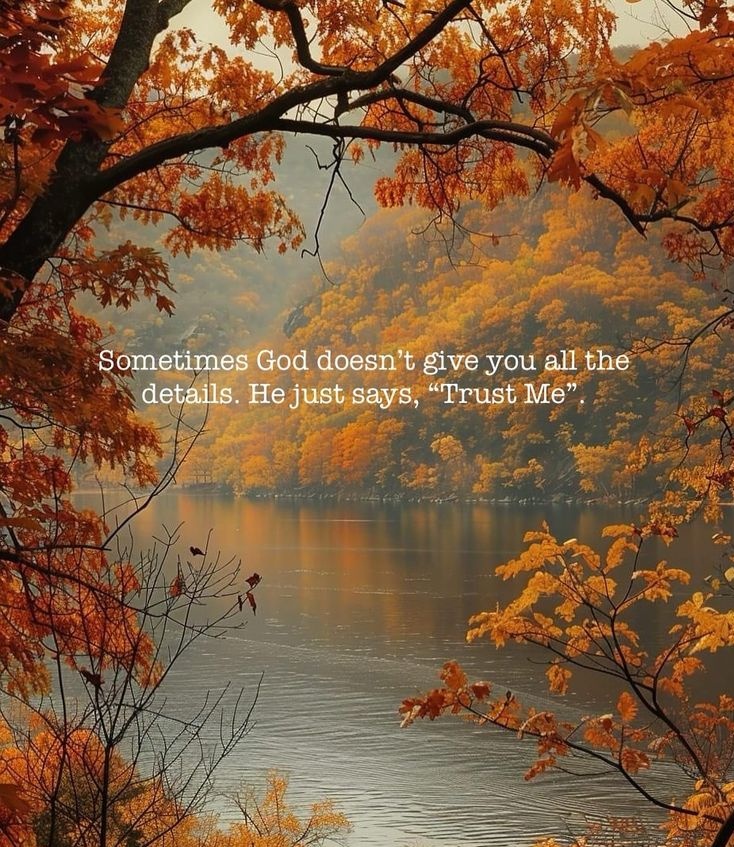 SpringSteps's tweet image. "The Lord is my strength and my shield;
My heart trusts in Him, and I am helped;
Therefore my heart triumphs,
And with my song I shall thank Him." 🧡
Psalm 28:7