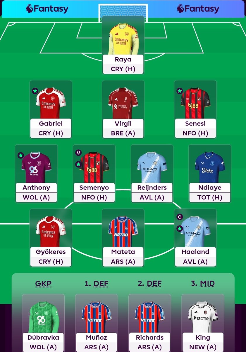 Locked in. 🔒

Haaland🤖🇳🇴©️

🍟: BB✅ 

Good luck with your teams! Have fun! 🫡🍀
#FPL #GW9