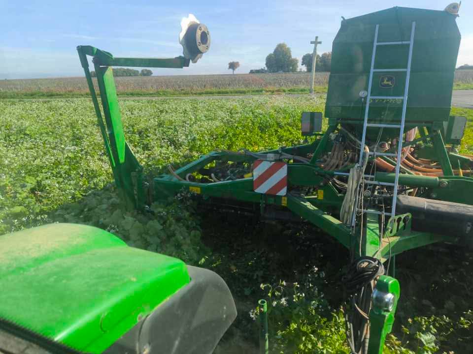 gn21guynoel's tweet image. Semis du 10 octobre #Orges2026 Comtesse #ACS