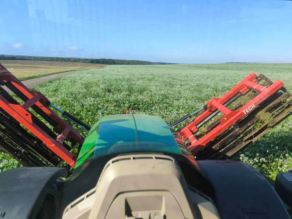 gn21guynoel's tweet image. Semis du 10 octobre #Orges2026 Comtesse #ACS