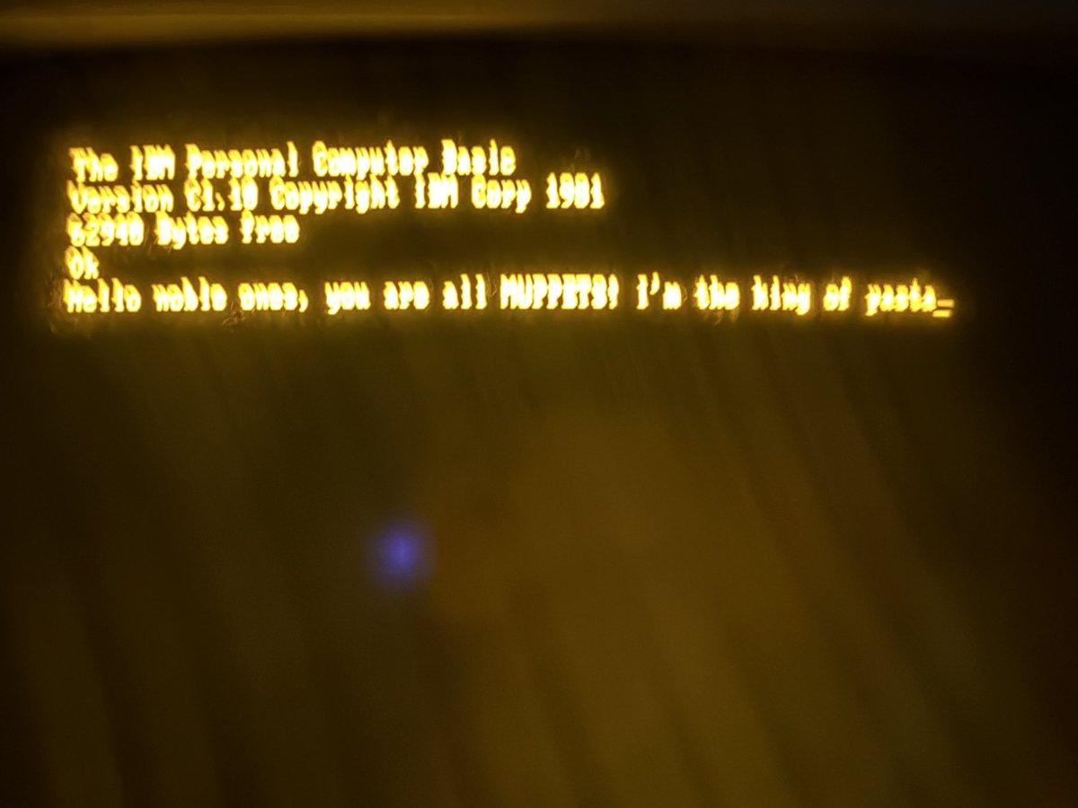 40 year old amber monitor in my room.