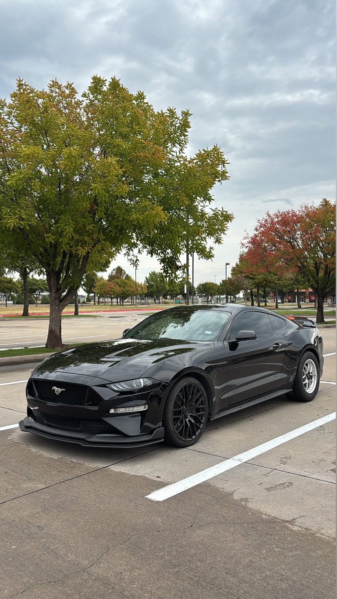 dishnsty's tweet image. Someone cop me some lowering springs