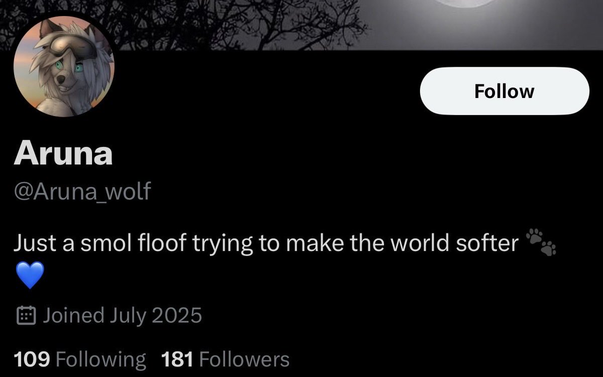 _sleepysaber's tweet image. can anyone explain to me if there is any strategic purpose to there being so many bots posing as furries. is there some sort of bot market around furry twitter engagement i'm not seeing