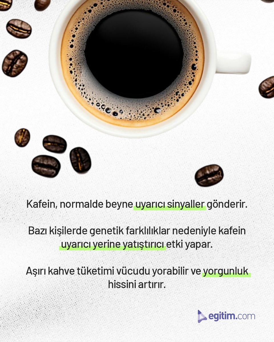 egitim_com's tweet image. Kahve içince uykunun daha çok geldiğini hissettiğin oldu mu? ☕😴

Aslında bunun bilimsel bir açıklaması var.

#Egitimcom #EğitimeDeğer #Kahve #Kafein #MerakEttiklerimiz