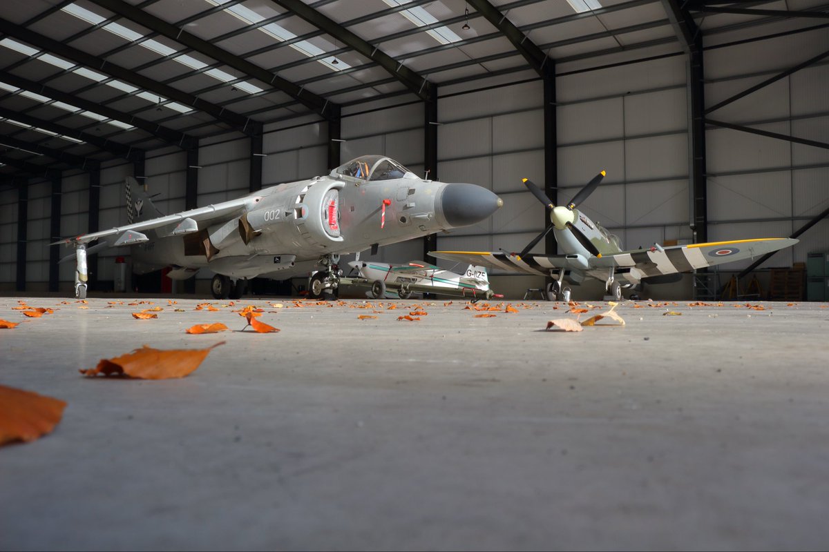 JetArtAviation's tweet photo. Stablemates.

Our Sea Harrier had some suitable company this week in the hangar at Church Fenton.

Thanks to David Butler Crashgate7 for the photos. https://t.co/uG3K1U0WbD