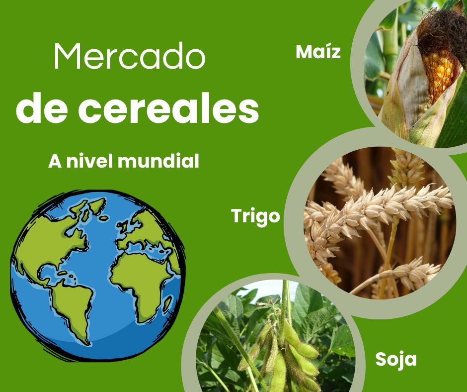 GuiAgropecuaria: Estar al día, es estar informado. 
El Campo es la Solución 🌽🐄🚜

El Consejo Internacional de Cereales eleva las reservas 

Leer en 👇
guiagropecuaria.blogspot.com/2025/10/el-con… 

#guiagropecuaria
#elcampoeslasolución
#vidarural
#noticiasagro
#mundoagro
#AgroInteligente