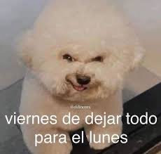 Marianna 🍮 (@zombiewth) on Twitter photo 