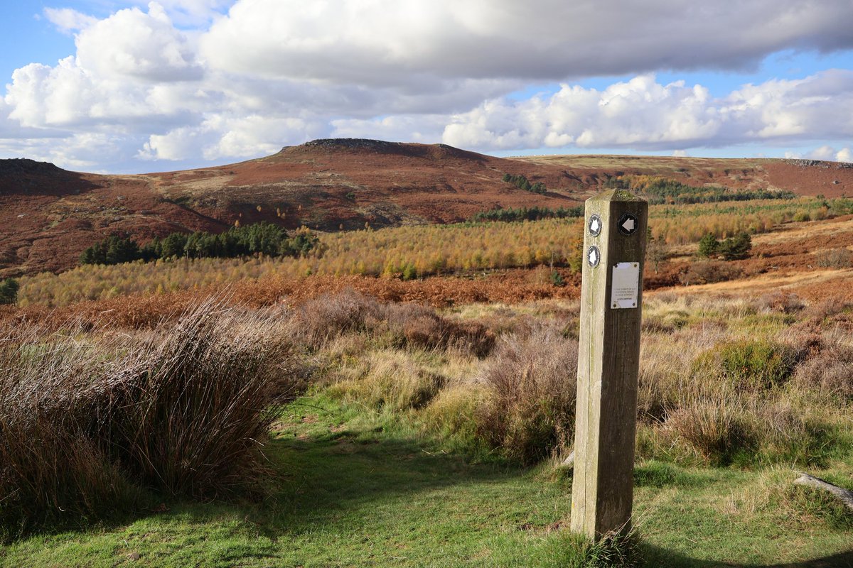 Kerry.B Writer (@kerrybwriter) on Twitter photo #fingerpostfriday on t' moors 😊 #fingerpostfriday on t' moors 😊