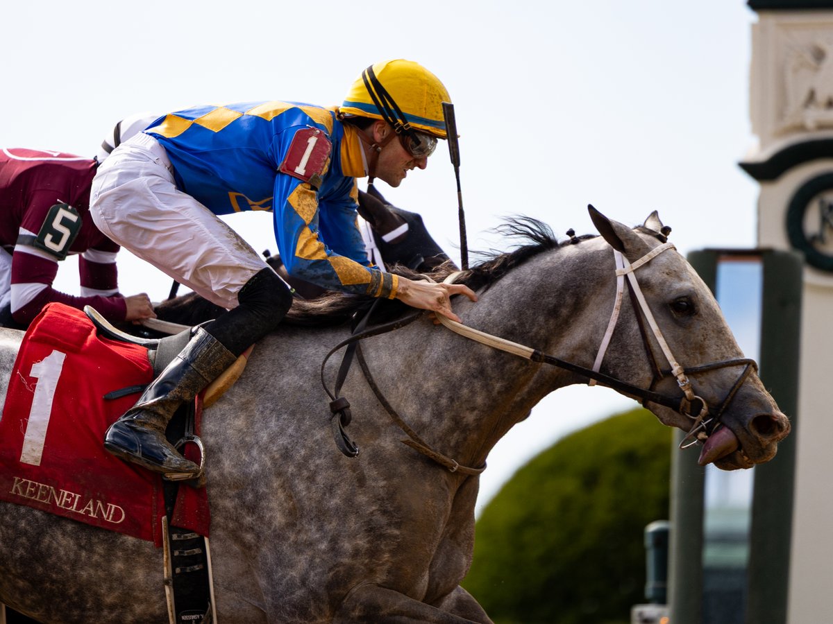 agentes305's tweet image. TIME FOR MUSIC (2yoC Not This Time) proved a fighter when winning race 2 by a neck over Maximum Effort, with Keith Asmussen up for trainer Steven Asmussen at Keeneland

El potro TIME FOR MUSIC demostró garra al ganar por pescuezo sobre la sentencia sobre Maximum Effort, con monta…