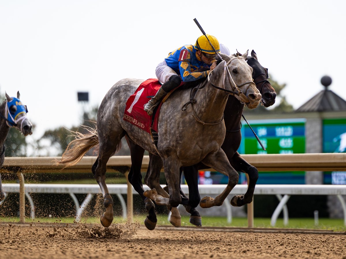 agentes305's tweet image. TIME FOR MUSIC (2yoC Not This Time) proved a fighter when winning race 2 by a neck over Maximum Effort, with Keith Asmussen up for trainer Steven Asmussen at Keeneland

El potro TIME FOR MUSIC demostró garra al ganar por pescuezo sobre la sentencia sobre Maximum Effort, con monta…
