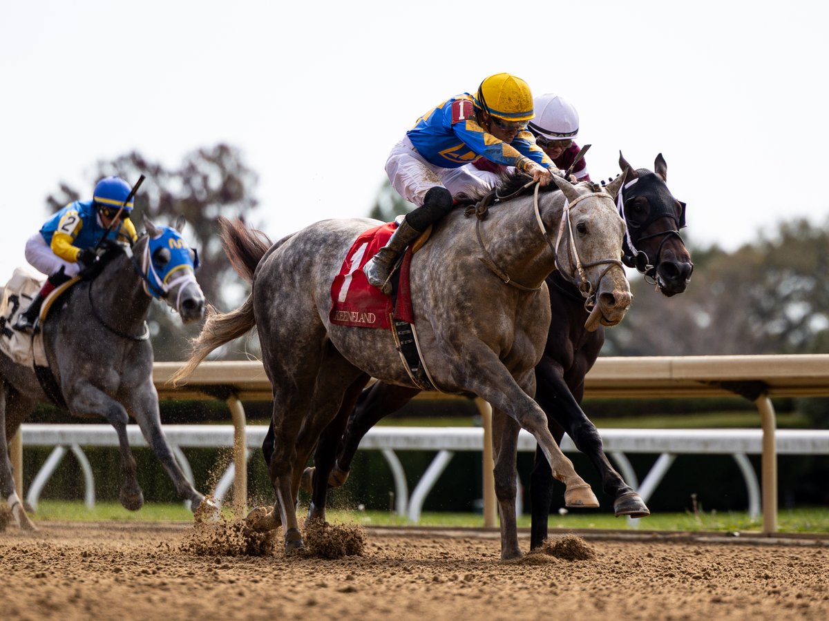 agentes305's tweet image. TIME FOR MUSIC (2yoC Not This Time) proved a fighter when winning race 2 by a neck over Maximum Effort, with Keith Asmussen up for trainer Steven Asmussen at Keeneland

El potro TIME FOR MUSIC demostró garra al ganar por pescuezo sobre la sentencia sobre Maximum Effort, con monta…