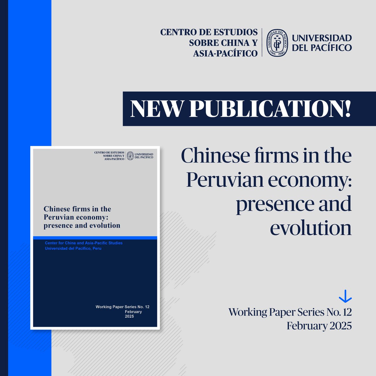Cechap_Up's tweet image. How significant is Chinese investment in Peru? 📈 Our new report reveals that by 2023, it accounted for 21% of the total FDI.
🔍From 1992-2022, 208 Chinese firms were registered, mainly in mining, energy & construction.
📝Read the full report: h7.cl/1dmzd