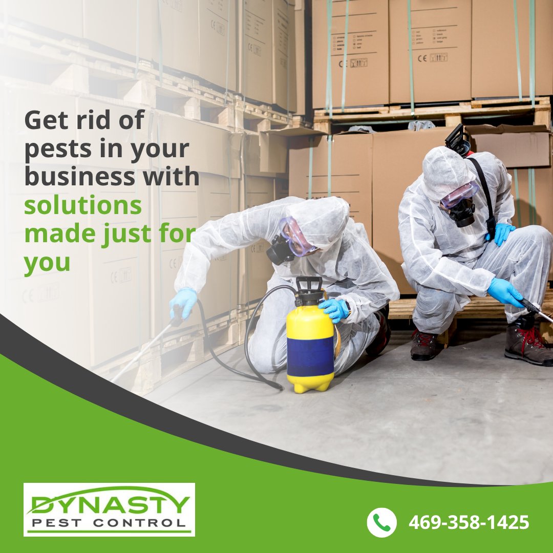 DynastyPest's tweet image. At Dynasty Pest Control, we don&apos;t just offer the same pest control services to everyone. Instead, we make sure that our services are tailored to your specific needs.

Call Dynasty Pest right away for a business quote! dynastypest.com

#pestcontrolservices #ArlingtonTX